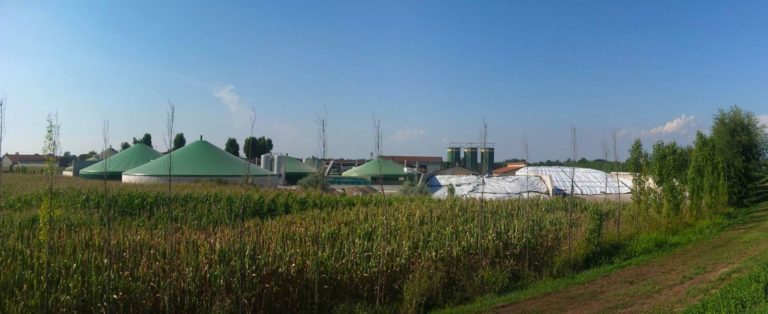 Anfrage zu ausgebrachten Schlämmen aus Biogasanlagen
