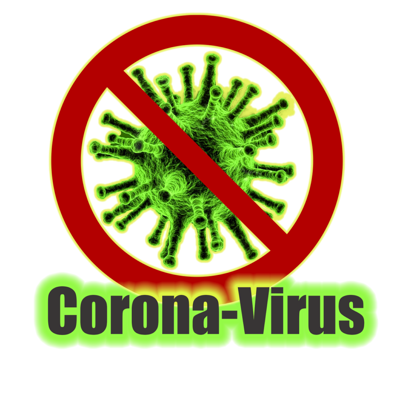 Anfrage zum Corona-Virus