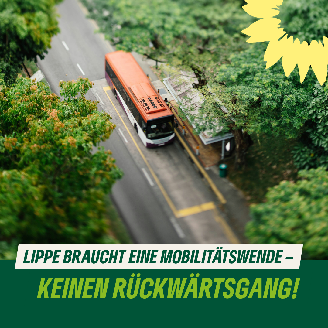 Vogelperspektive: Bus hält an Haltestelle in bewaldeter Gegend